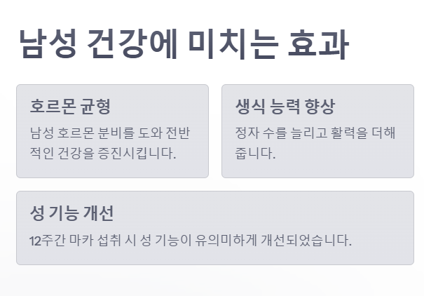 마카 효능 남성