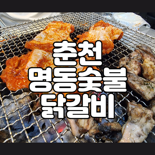  춘천여행 닭갈비골목에서 먹은 삼색닭갈비 명동숯불닭갈비