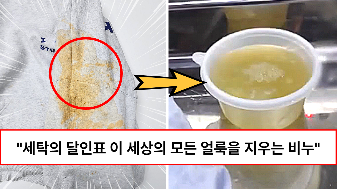 “억대 재산가가 된 얼룩 제거의 비밀은 이것입니다” 이 세상의 모든 얼룩을 지울 수 있는 마법같은 방법 (feat. 상황별 총정리) “억대 재산가가 된 얼룩 제거의 비밀은 이것입니다” 이 세상의 모든 얼룩을 지울 수 있는 마법같은 방법 (feat. 상황별 총정리)