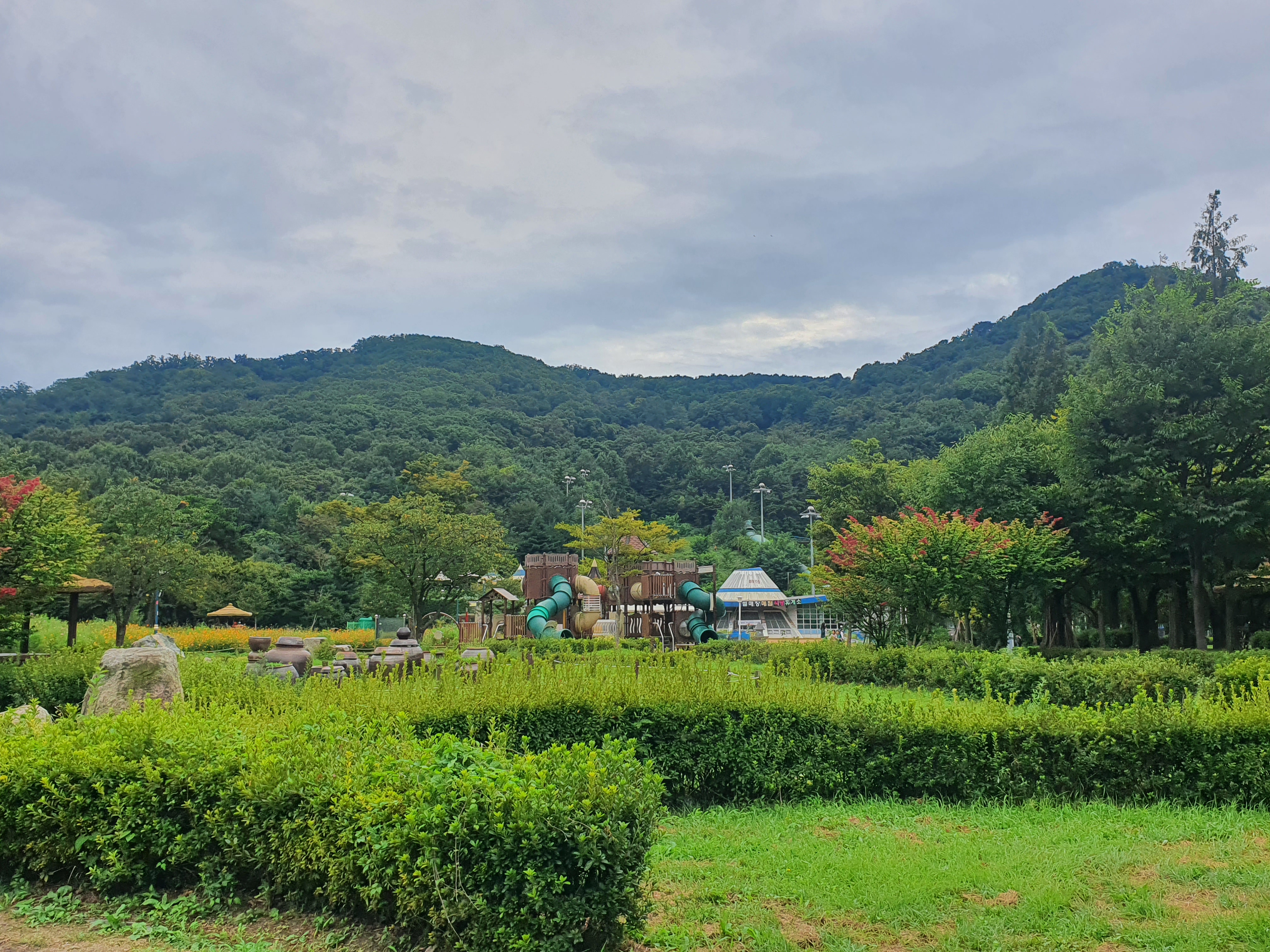 인천대공원 야생화밭