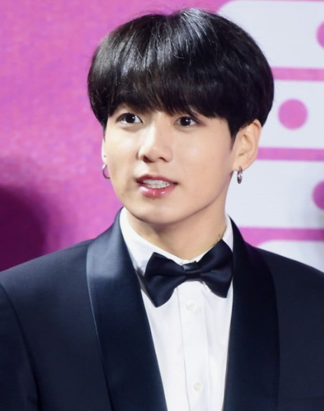 BTS 정국 팬송 프로필