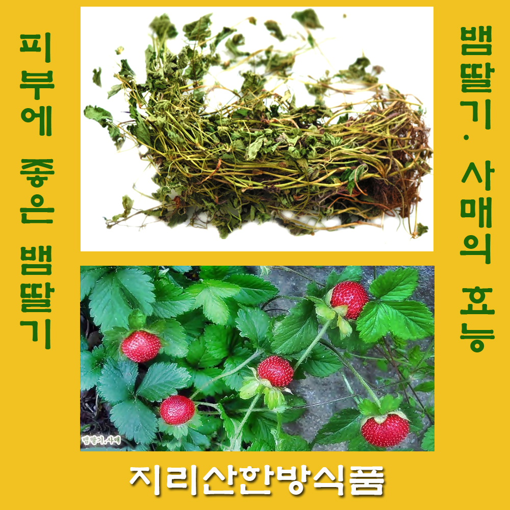  뱀딸기.사매.뱀딸기의 효능