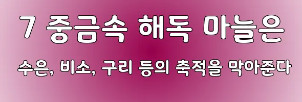  7 중금속 해독 마늘은 수은, 비소, 구리 등의 축적을 막아준다