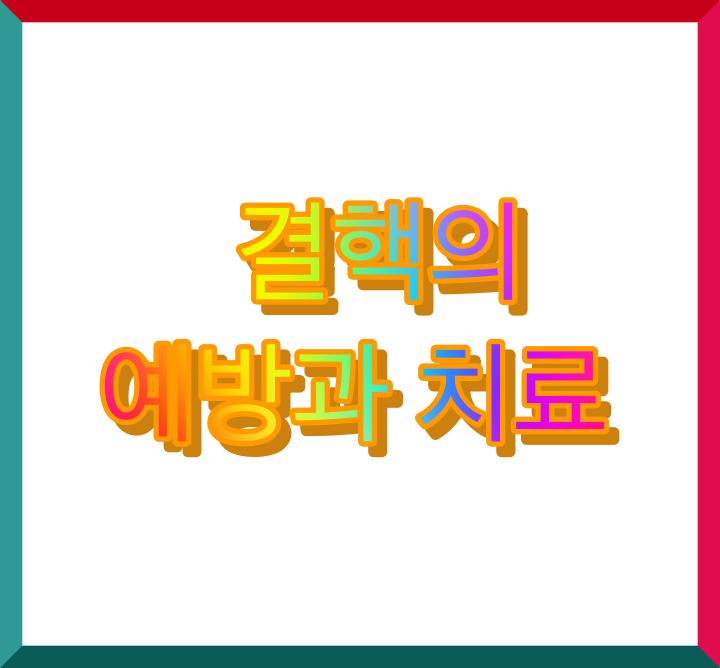  결핵 치료와 예방