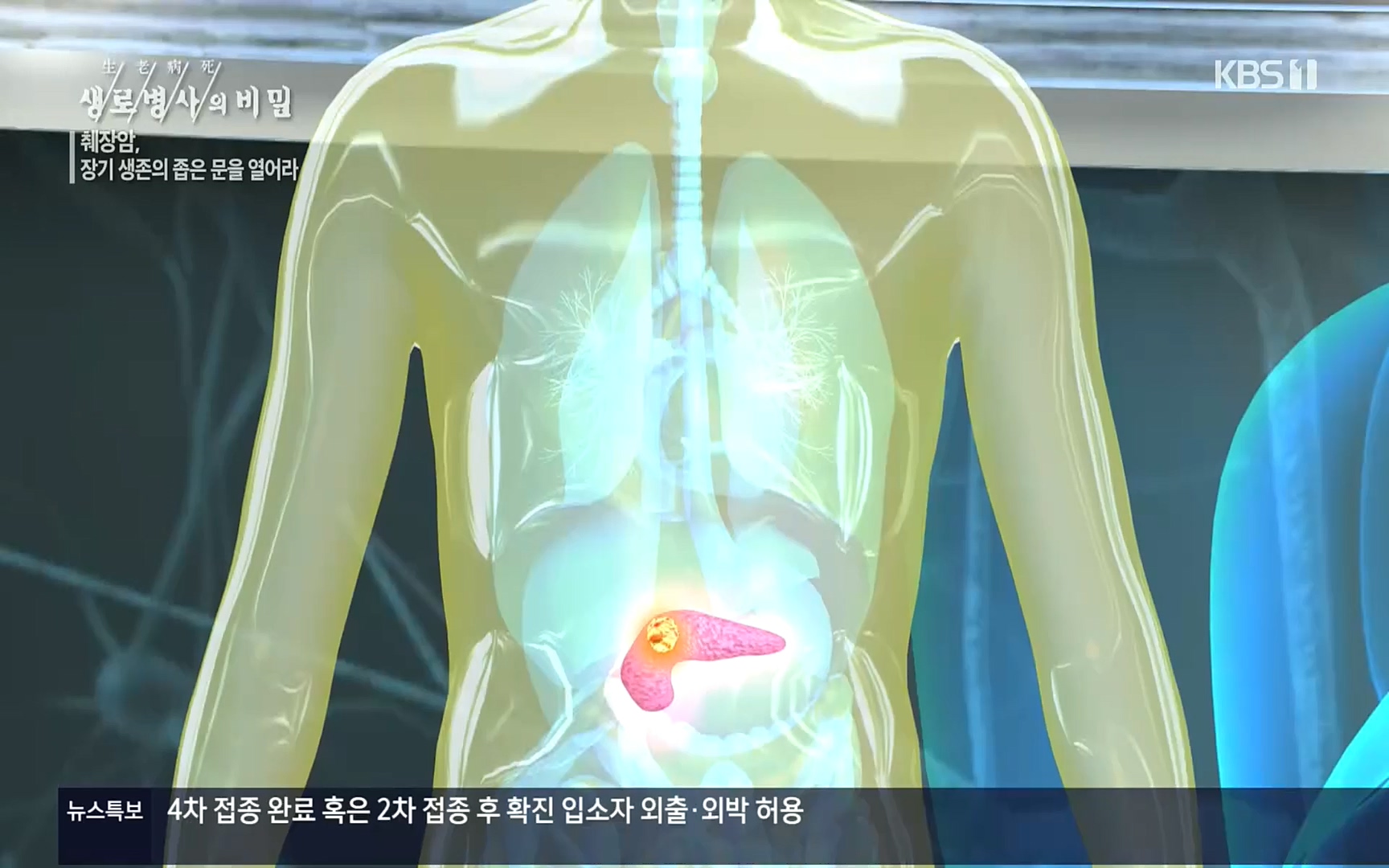 생로병사의 비밀.E823.220622p.H264-F1RST.mp4_20220624_210524.713.jpg