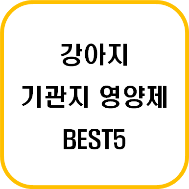  강아지 기관지 건강을 위한 강아지 기관지 영양제 BEST5 추천