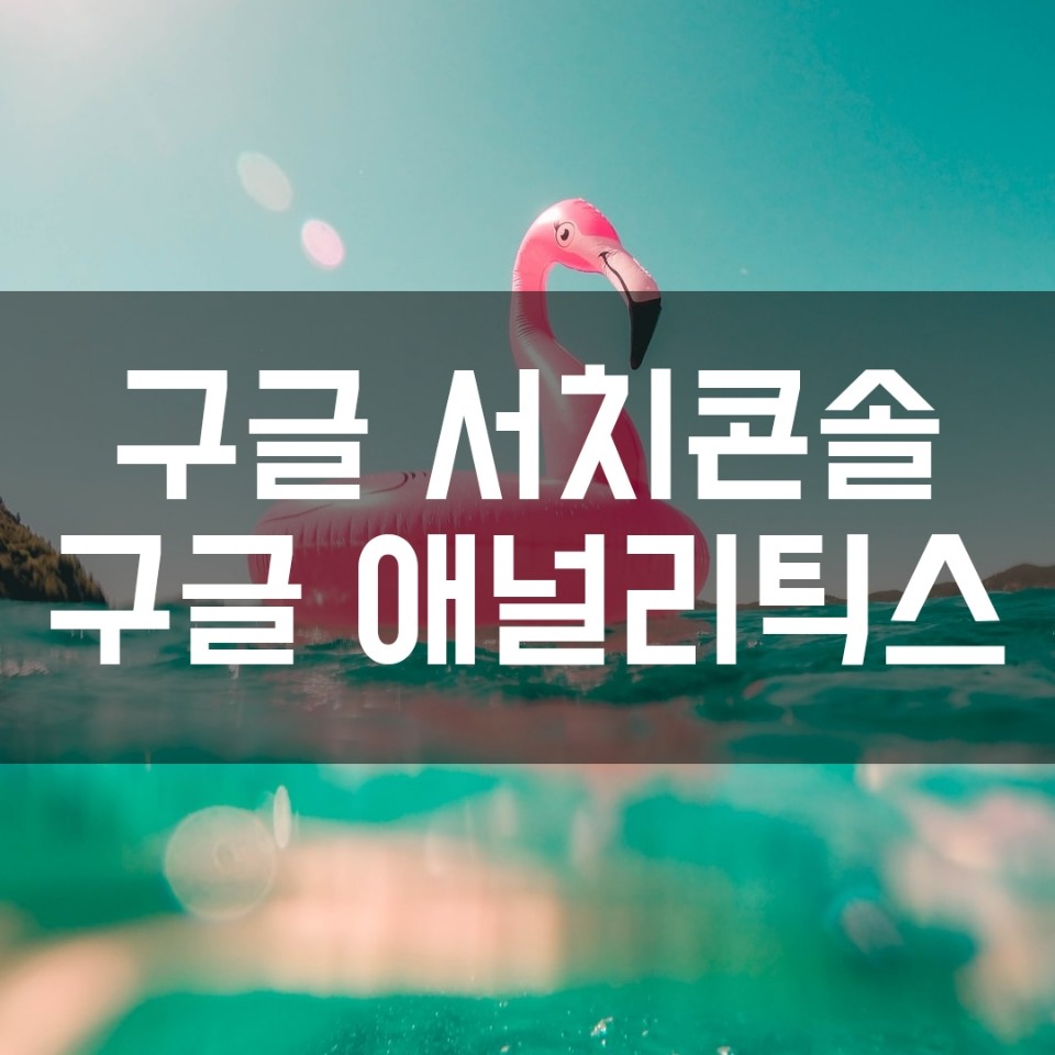  티스토리 구글 서치콘솔 애널리틱스 플러그인