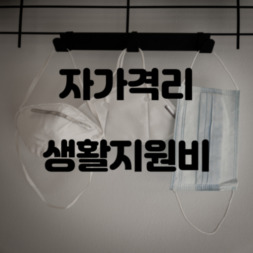 자가격리 생활지원비 안내 썸네일
