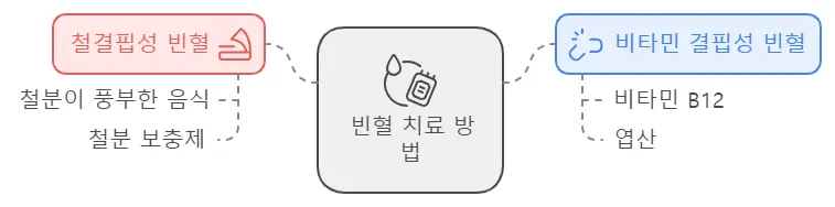 빈혈치료방법