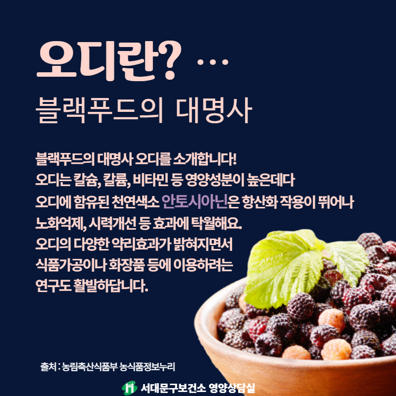 오디란?