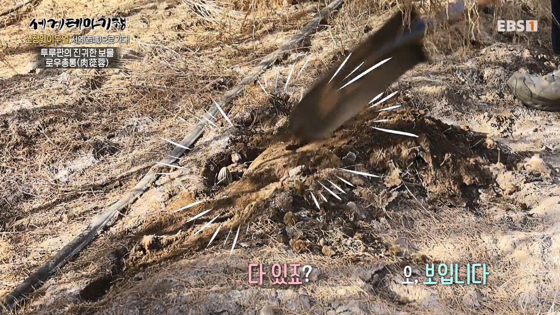 세계테마기행 240102 신장웨이우얼, 서역(西域)으로 가다! -톈산산맥의 보물, 투루판0p.mp4_20240706_172803.387.jpg