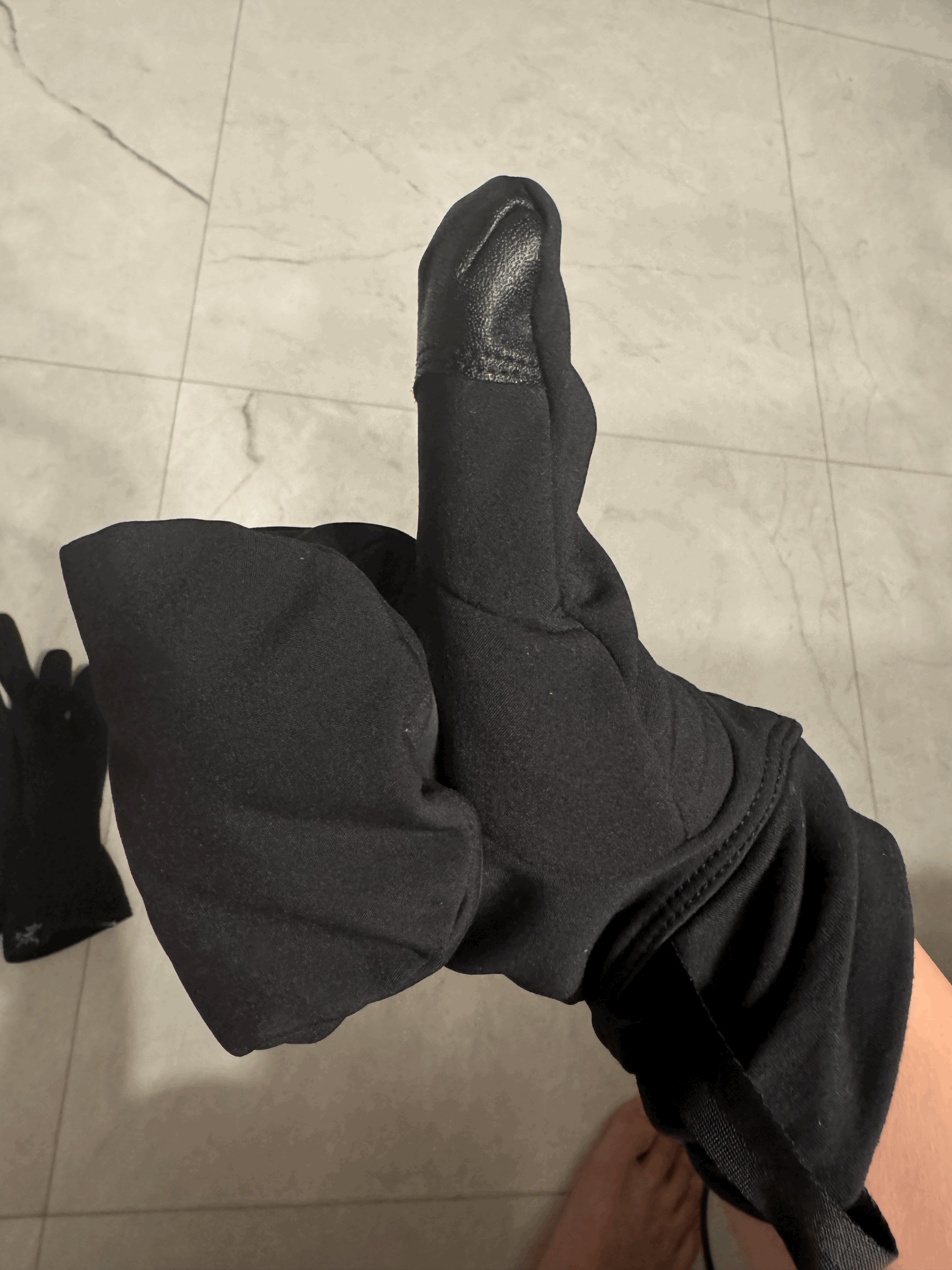 겨울 장갑은 아크테릭스(ARCTERYX) 벙어리지