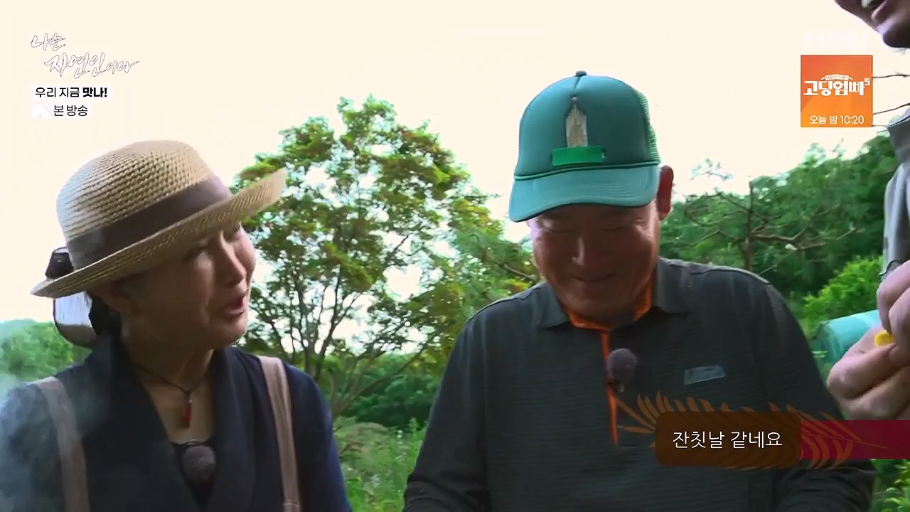 나는 자연인이다.E609.240613p-NEXT.mp4_20240613_195121.409.jpg
