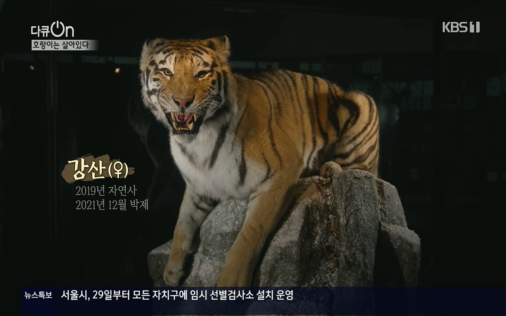 다큐 On.E150.220729p.H264-F1RST.mp4_20220730_164054.913.jpg