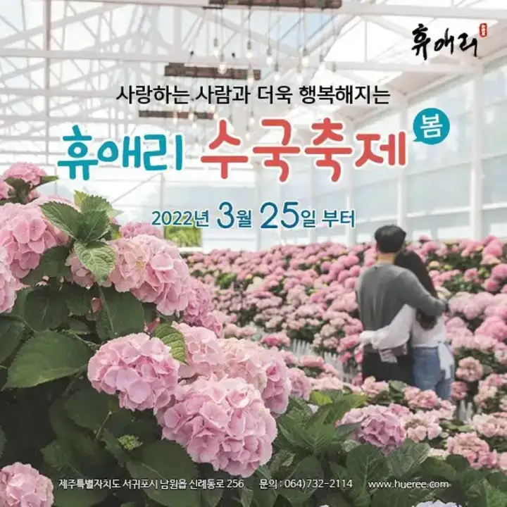  2022년 5월 제주도 축제 총 정리 - 제주도에서 열리는 축제의 기간, 시간, 장소, 요금은?