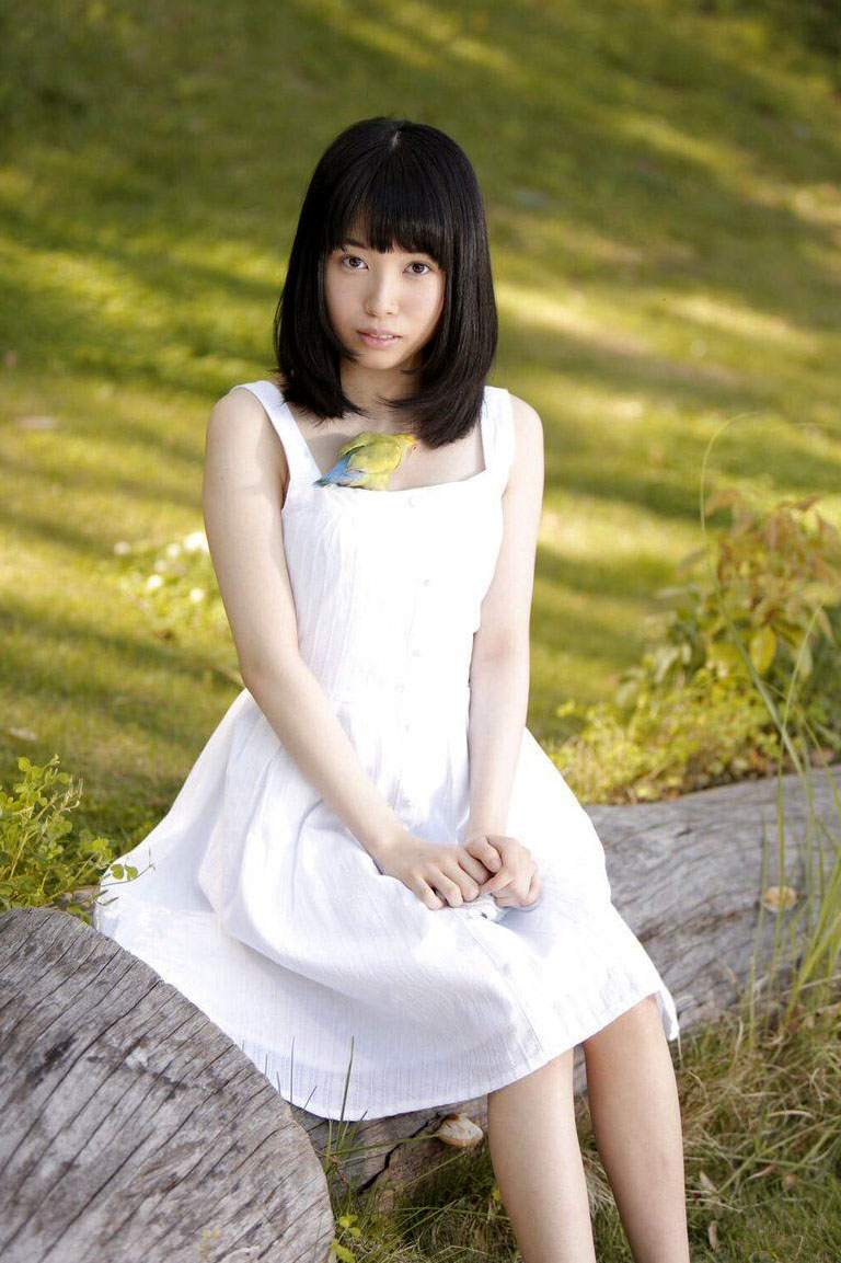 모리노_코토리_Morino_Kotori_もりの小鳥