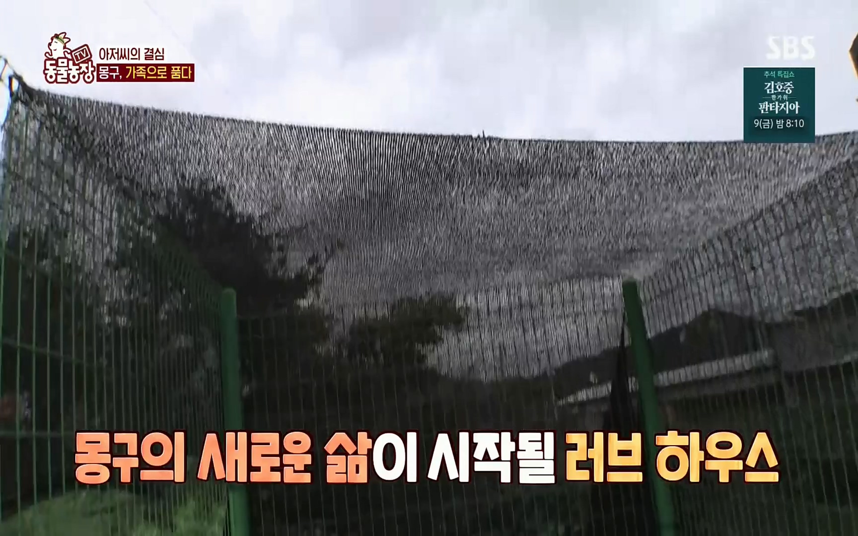 TV 동물농장.E1084.220828p.H264-F1RST.mp4_20220828_154104.493.jpg