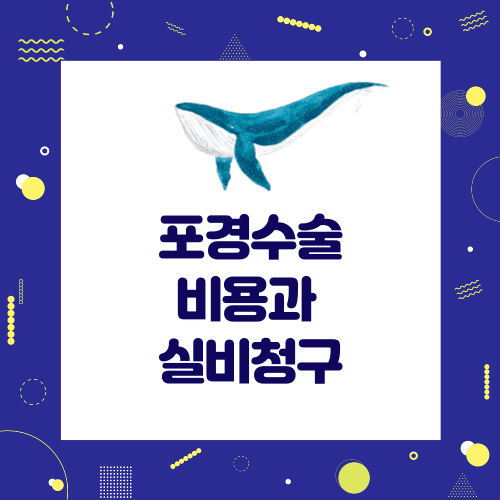 포경수술 비용 썸네일