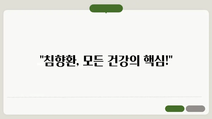 침향환 효능 5가지 및 부작용, 복용법 5분정보