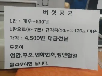 표고버섯 종균 재배법 보관법 및 효능 확인하기_18