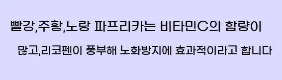  빨강,주황,노랑 파프리카는 비타민C의 함량이 많고,리코펜이 풍부해 노화방지에 효과적이라고 합니다