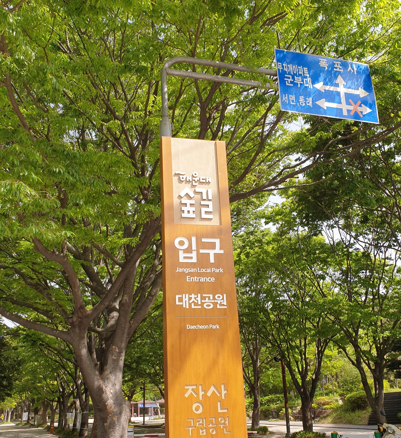 부모애숲 이미지