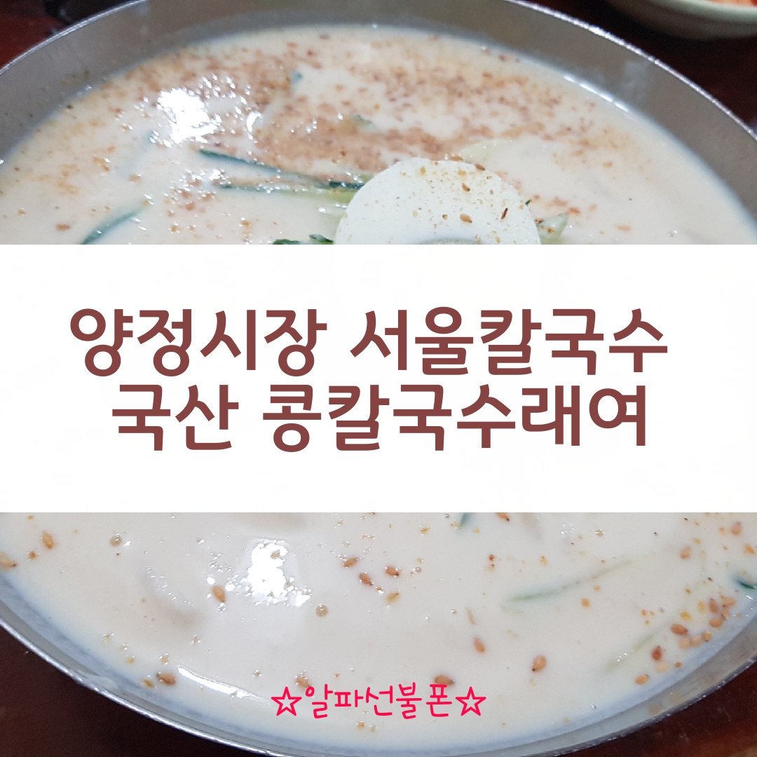  양정시장 서울칼국수 국산 콩칼국수래여