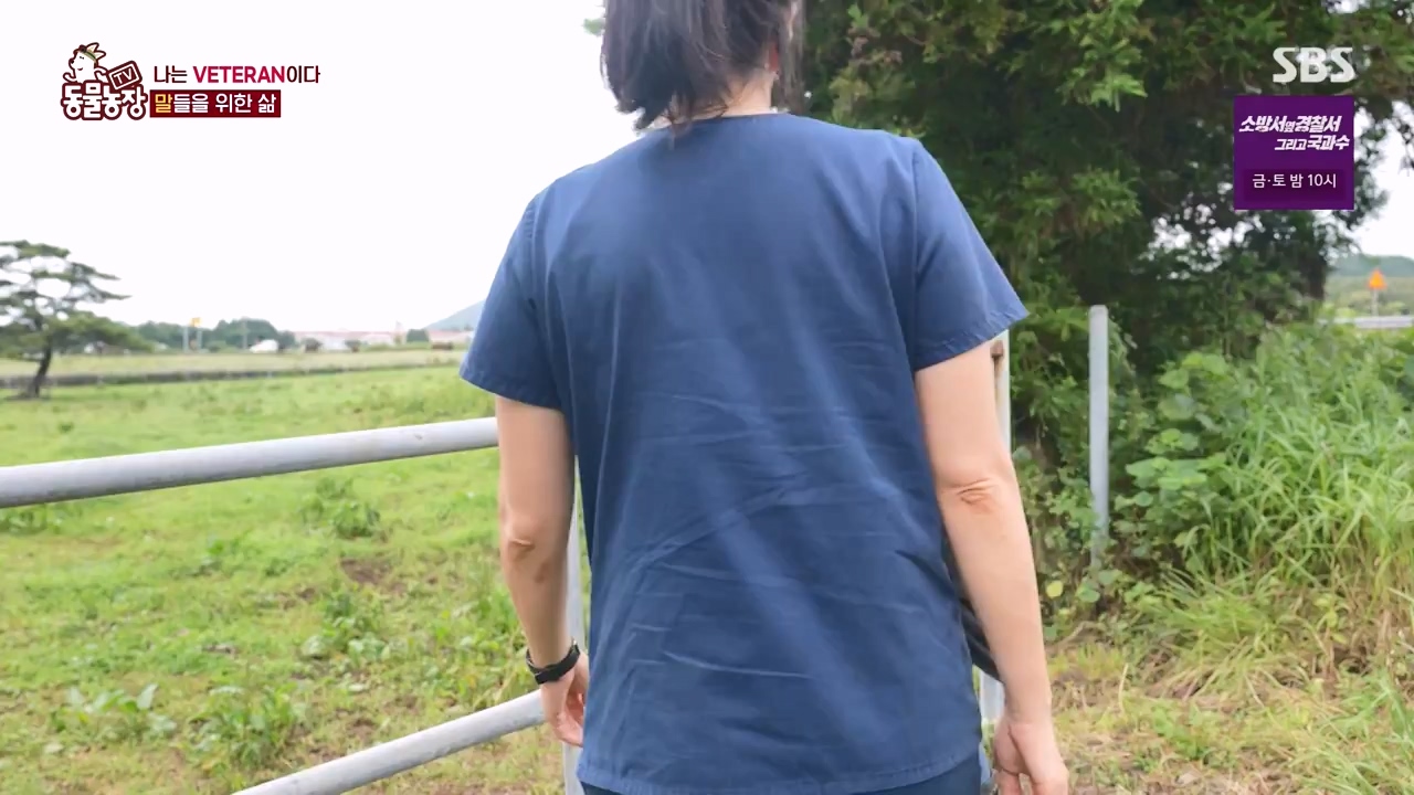 TV 동물농장.E1132.230807p-NEXT.mp4_20230806_164234.327.jpg