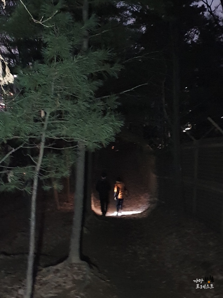 구룡산 야등