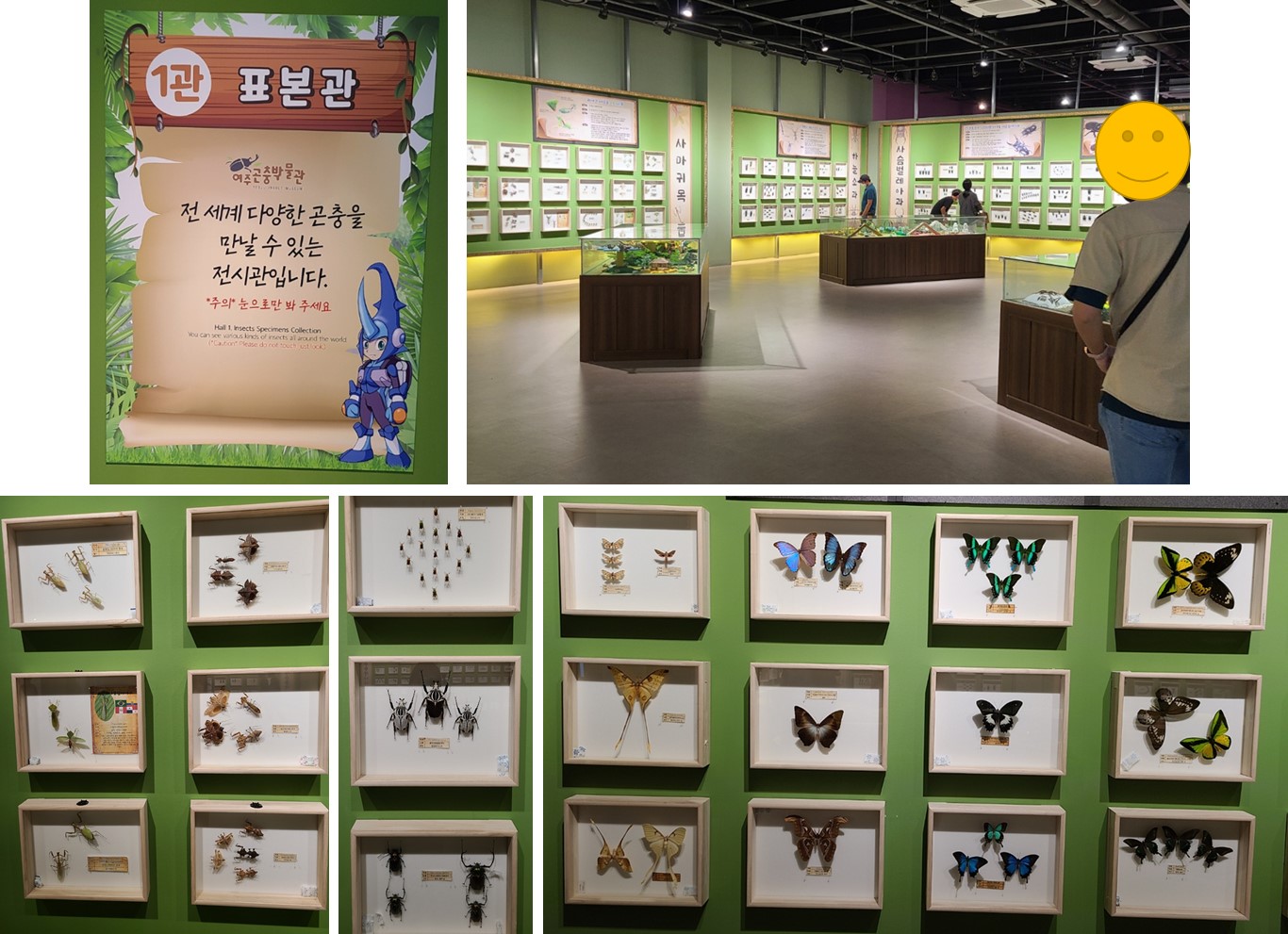 여주 곤충 박물관 1관