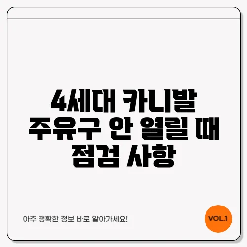 4세대 카니발 주유구 안 열릴 때 점검 사항