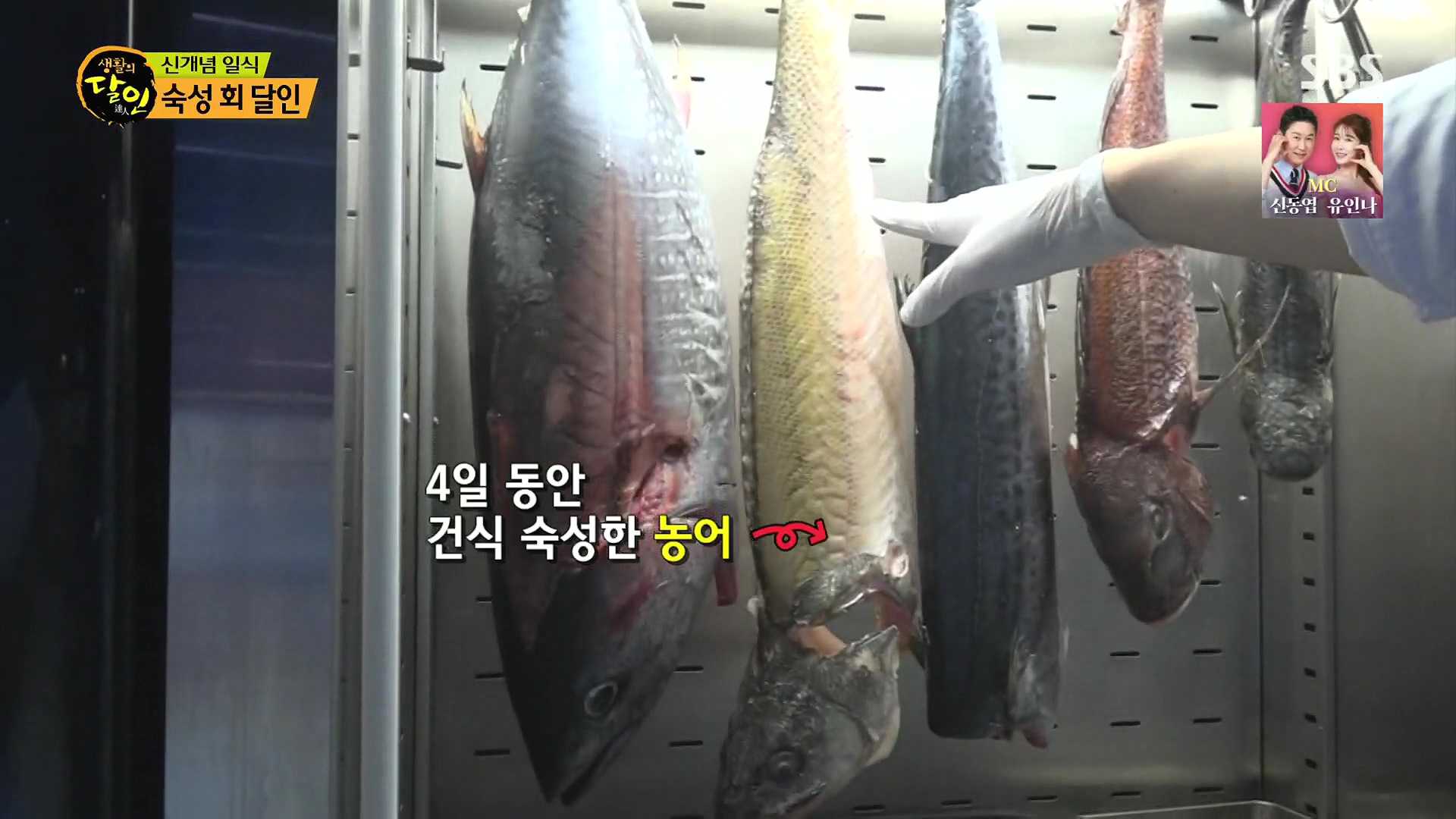 생활의 달인.E939.240610p.H264-F1RST.mp4_20240611_195709.837.jpg