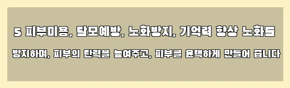  5 피부미용, 탈모예방, 노화방지, 기억력 향상 노화를 방지하며, 피부의 탄력을 높여주고, 피부를 윤택하게 만들어 줍니다