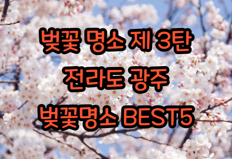 벚꽃 명소