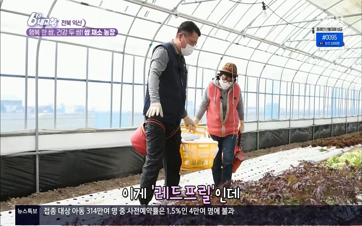 6시 내고향.E7501.220332p.H264-F1RST.mp4_20220402_193733.897.jpg