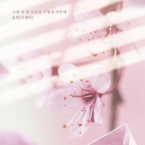  윤혁(디셈버) (이윤혁) 그댄 내 맘 모르죠 이렇게 아픈데 듣기/가사/앨범/유튜브/뮤비/반복재생/작곡작사
