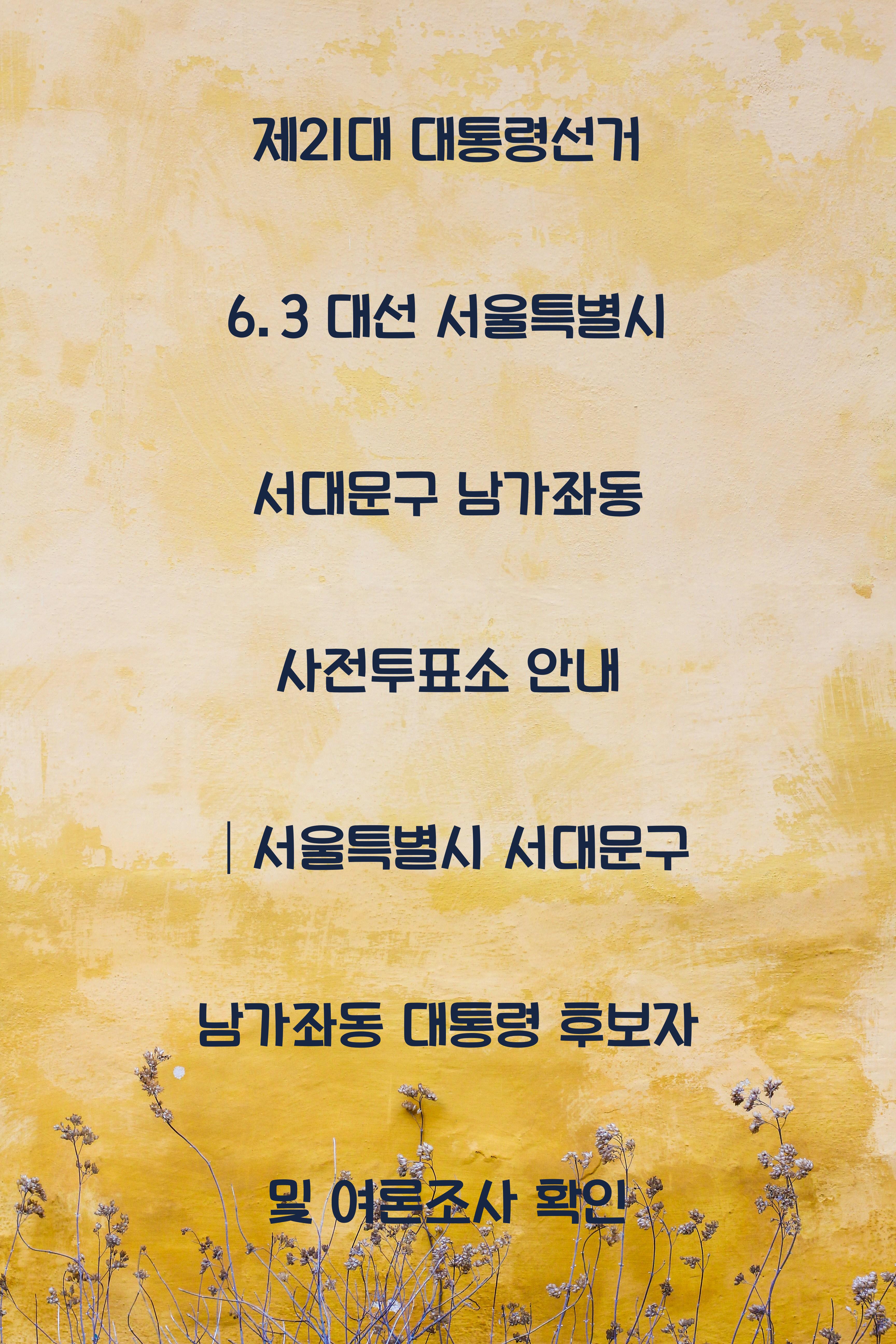 제21대 대통령선거 6.3 대선 서울특별시 서대문구 남가좌동 사전투표소 안내 │서울특별시 서대문구 남가좌동 대통령 후보자 및 여론조사 확인