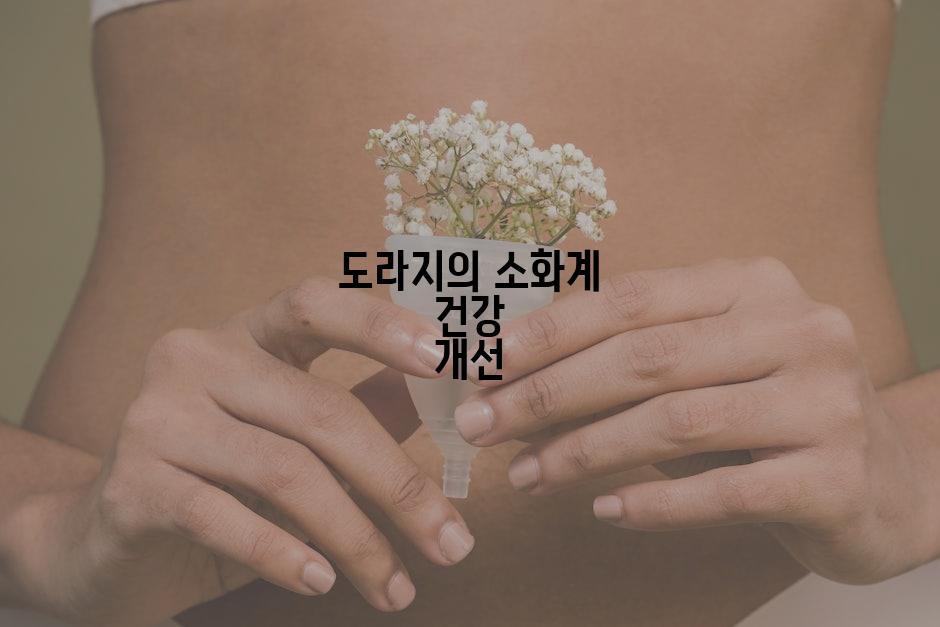 도라지의 소화계 건강 개선