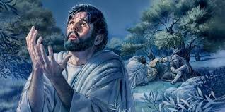  한결 같은 사랑 (시31:7)
