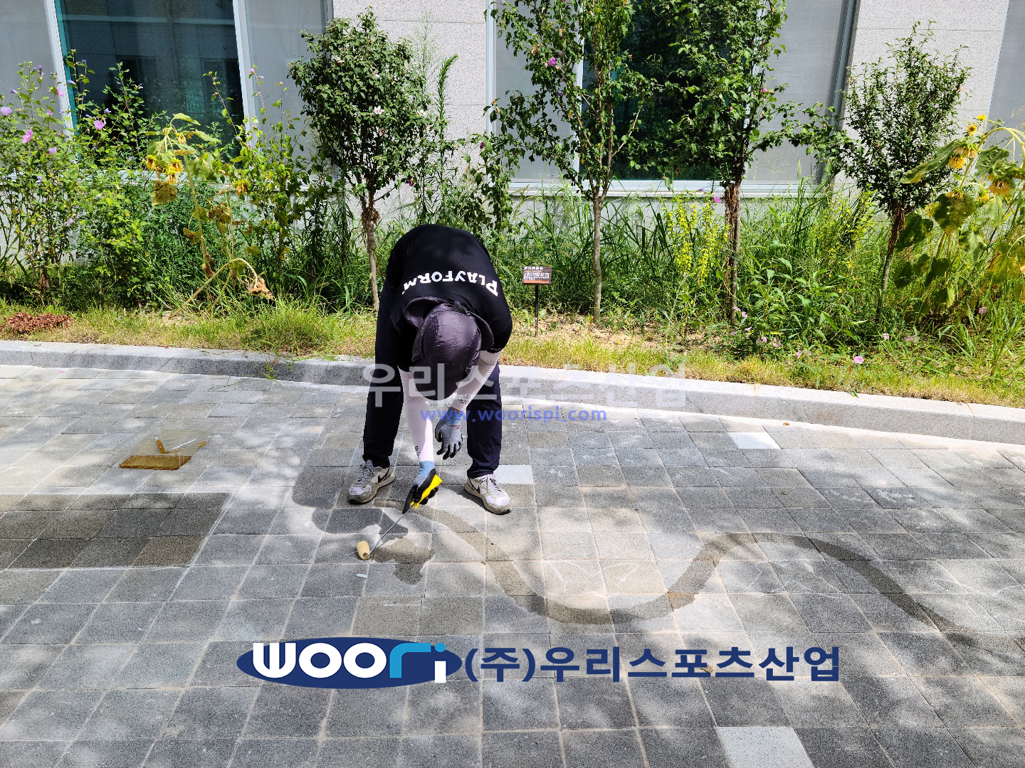 이솔초등학교 이미지