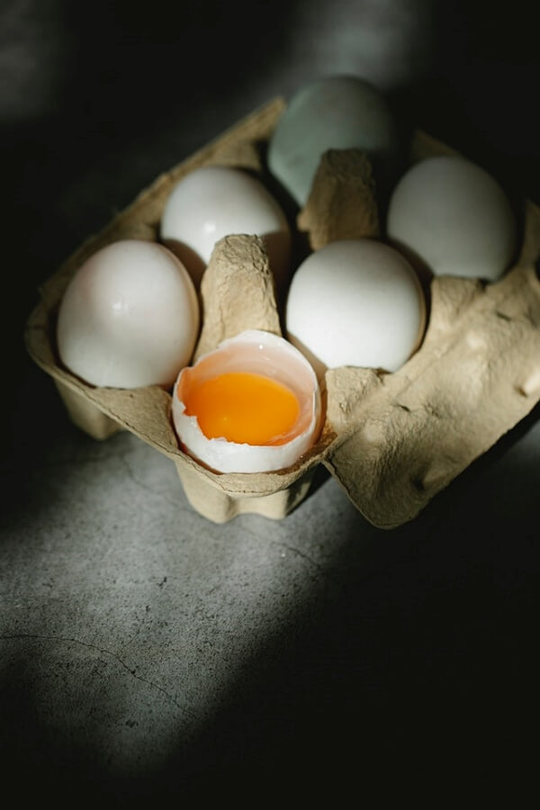 egg 달걀 계란 알 닭 병아리 꿈 7