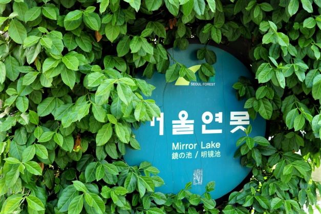 거울연못&#44; 원형 안내판&#44; 파란 바탕&#44; 흰글씨&#44; 울타리 나뭇잎에 살짝 가려 보입니다.