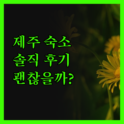 제주 아일랜드 스테이 솔직 후기 위치
