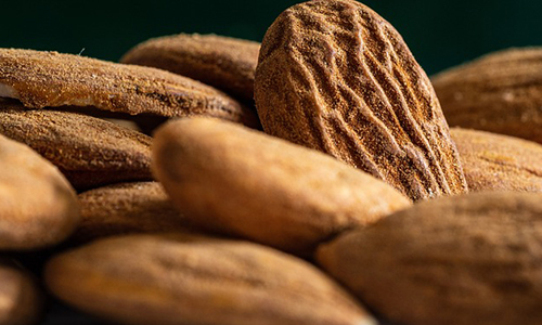 기억력을 향상시키는 음식 