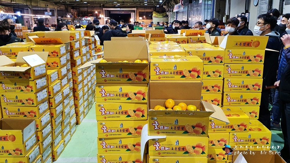 비타민청과 이미지