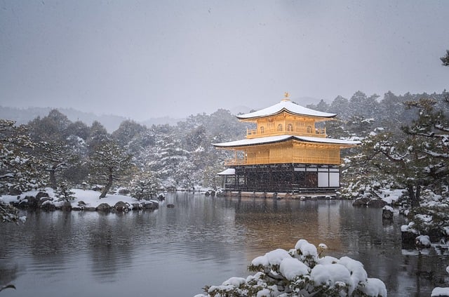 겨울 일본 여행지 추천
