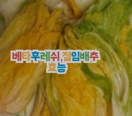 베타후레쉬-절임배추-효능