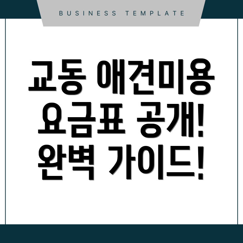 애견미용
