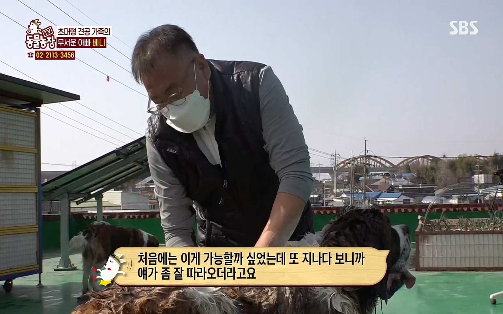 TV 동물농장.E1064.220410p.H264-F1RST.mp4_20220410_184937.164.jpg