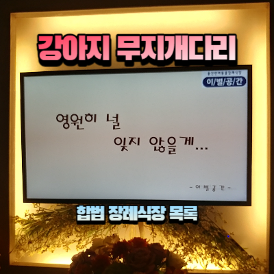 강아지 합법 장례식장 목록 섬네일
